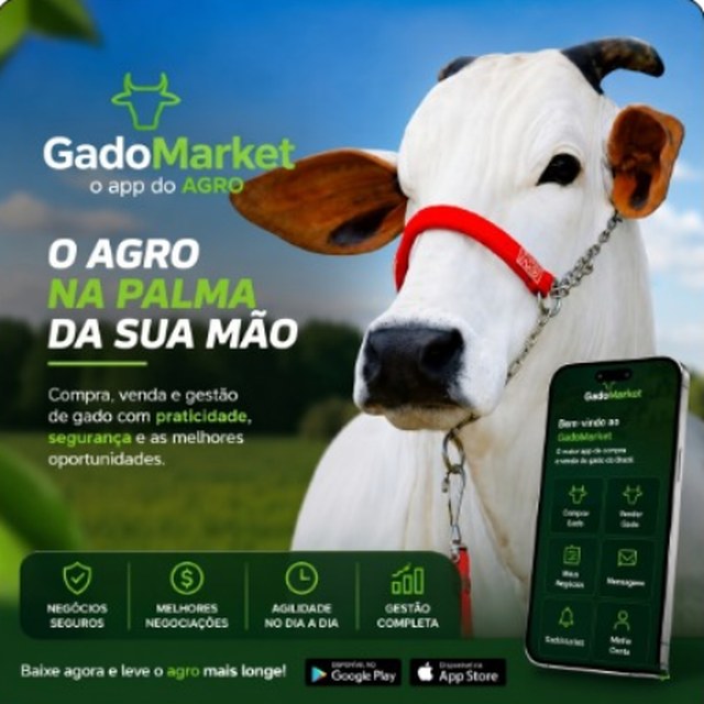 Tela inicial do aplicativo Gado Market: comprar gado, vender gado, meus negócios, mensagens